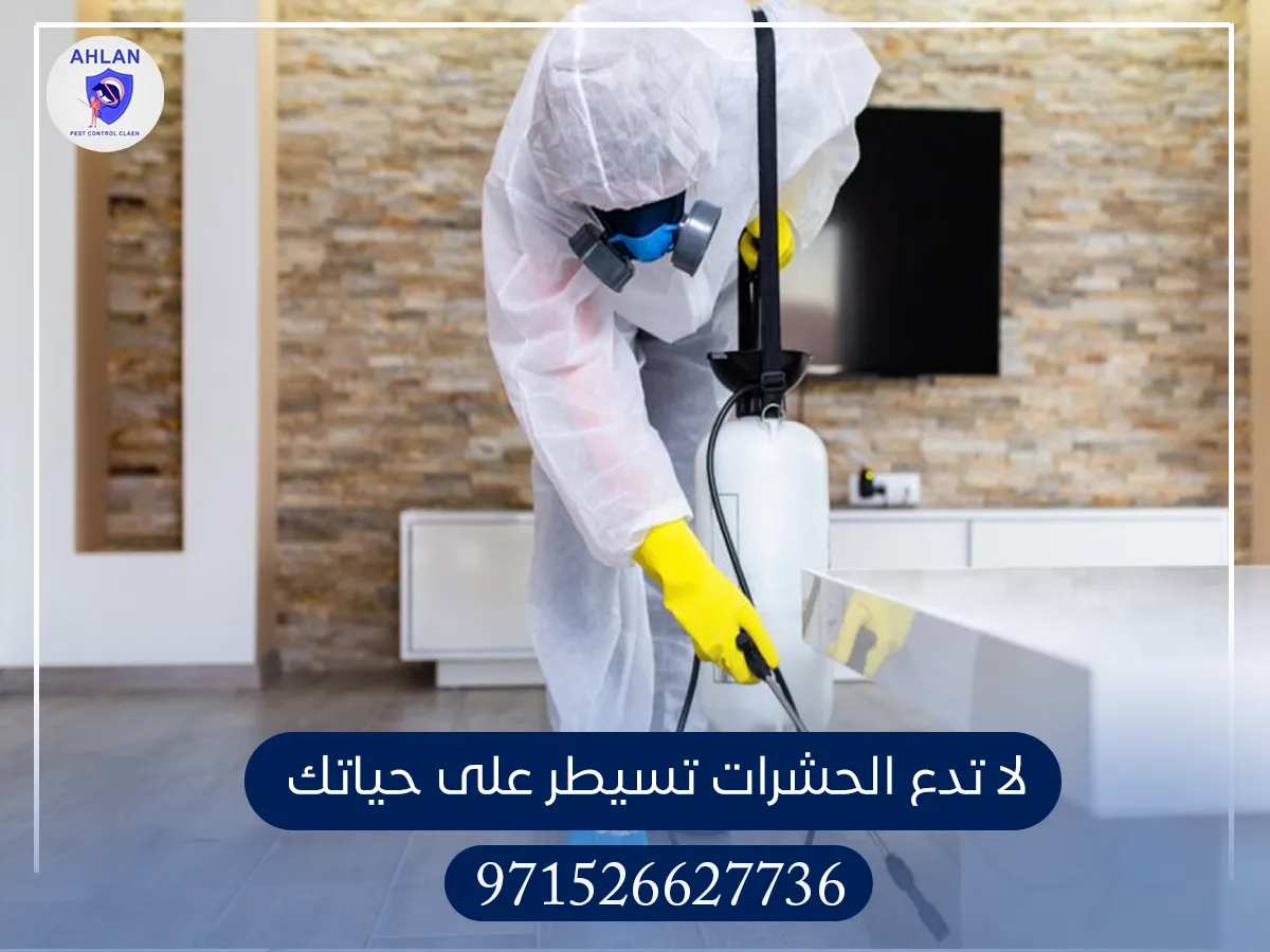 مكافحة الحشرات في أم القيوين