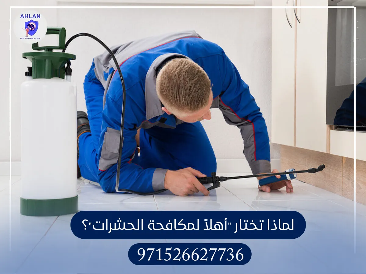 شركة مكافحة الفئران في كلباء