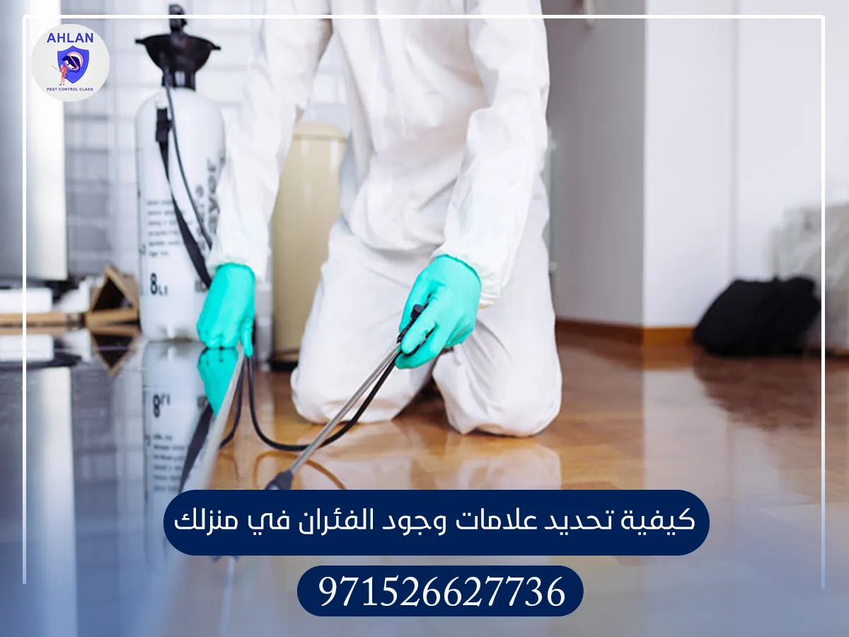 مكافحة الفئران في الفجيرة