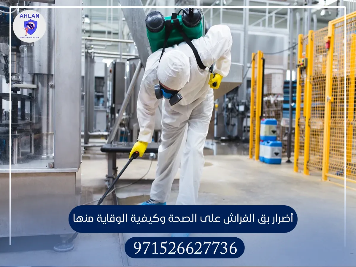 مكافحة بق الفراش في أم القيوين