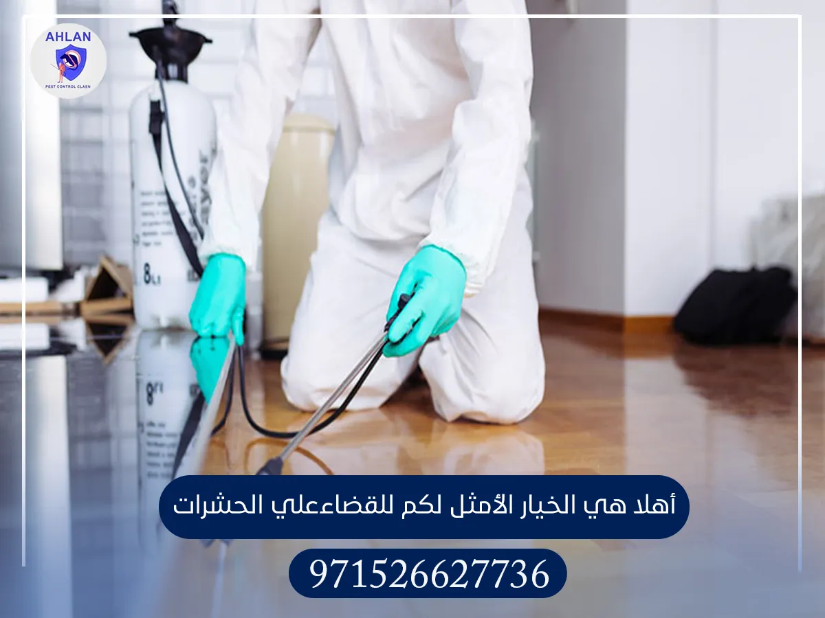 رش حشرات في دبا الفجيرة