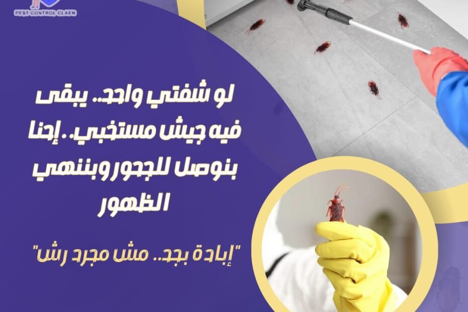 شركة مكافحة حشرات في الشارقة