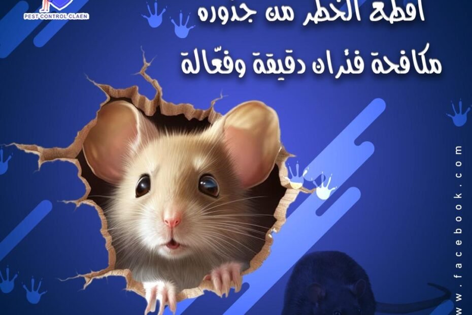 شركة مكافحة فئران في دبي