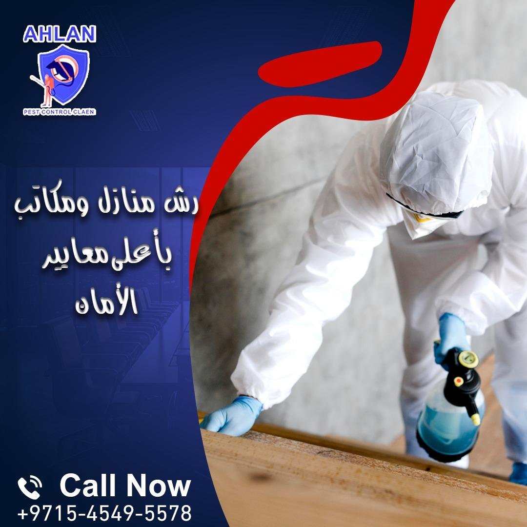 شركة مكافحة النمل في الشارقة