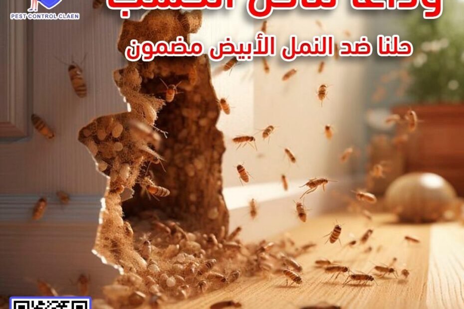 طرق مكافحة النمل الابيض في الشارقة