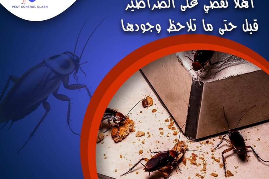 شركة مكافحة صراصير في دبي