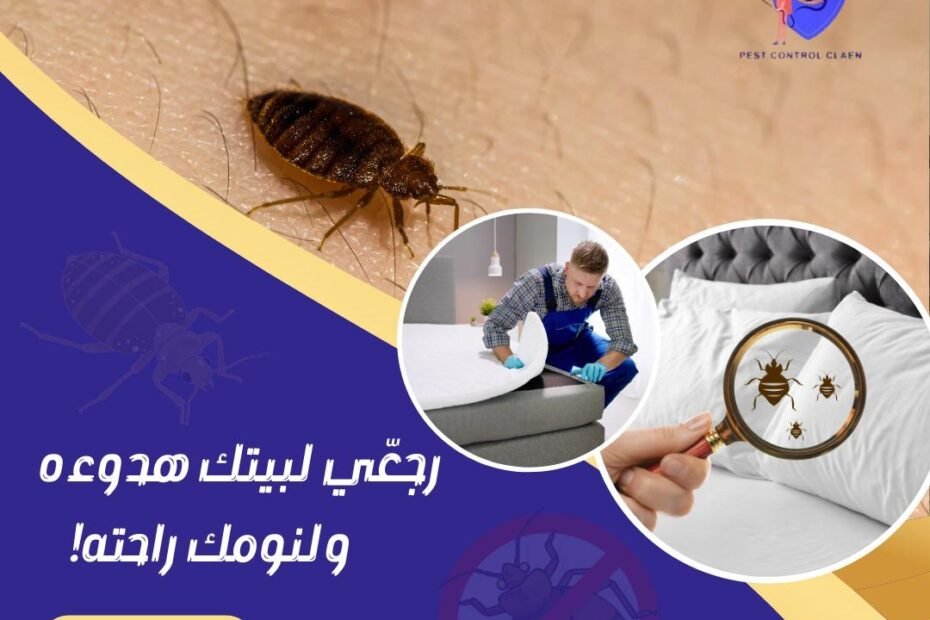 شركة مكافحة بق الفراش في الشارقة