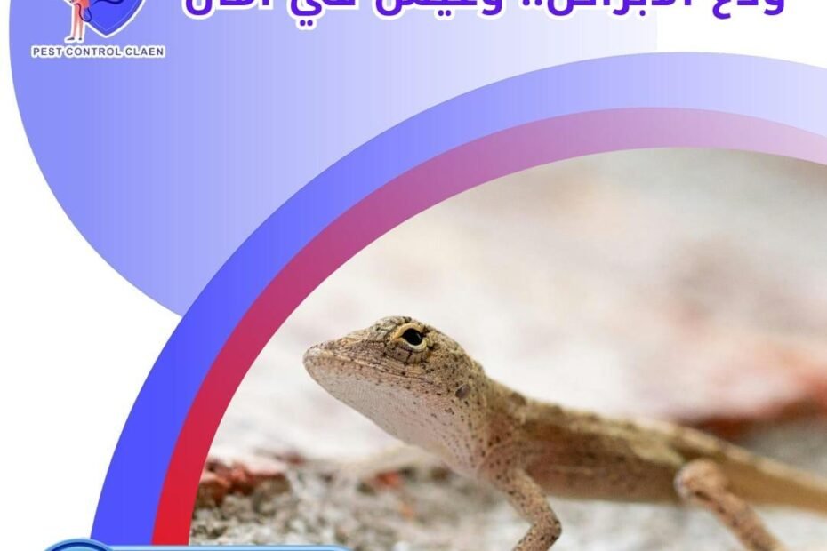 شركة مكافحة السحالي في الفجيرة