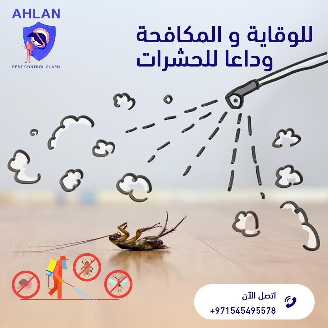 شركة مكافحة حشرات في راس الخيمة