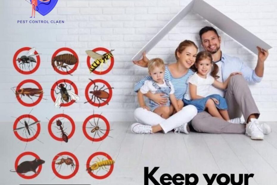 شركة مكافحة حشرات في ام القيوين