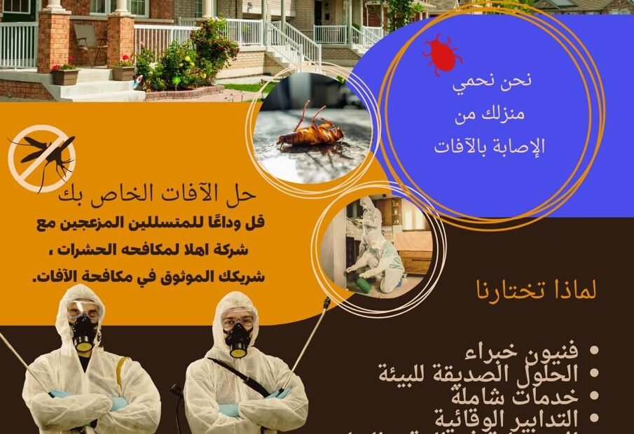 شركة مكافحة حشرات في ابوظبي
