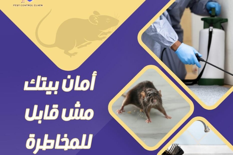 شركة مكافحة فئران في دبي