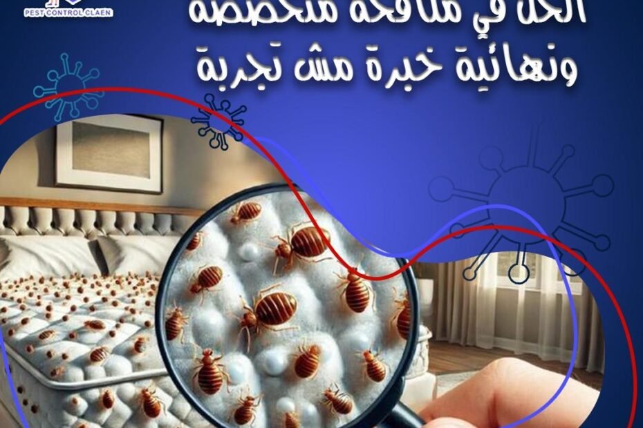 شركة مكافحة بق الفراش في الشارقة