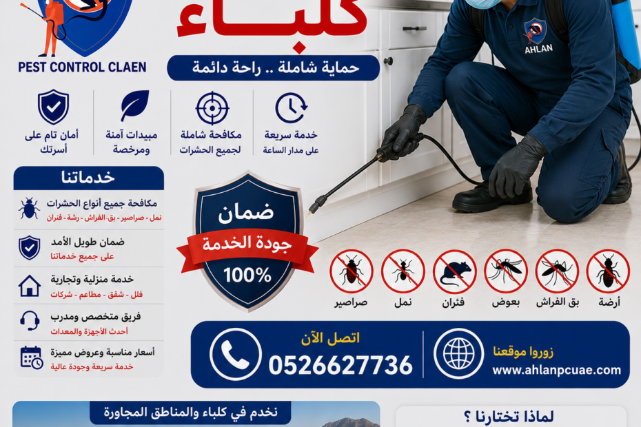 أفضل شركة مكافحة حشرات في كلباء