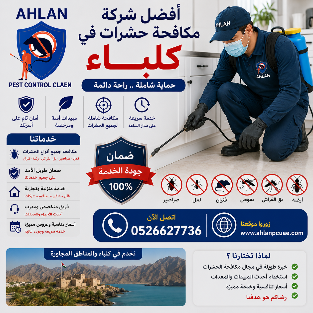 أفضل شركة مكافحة حشرات في كلباء