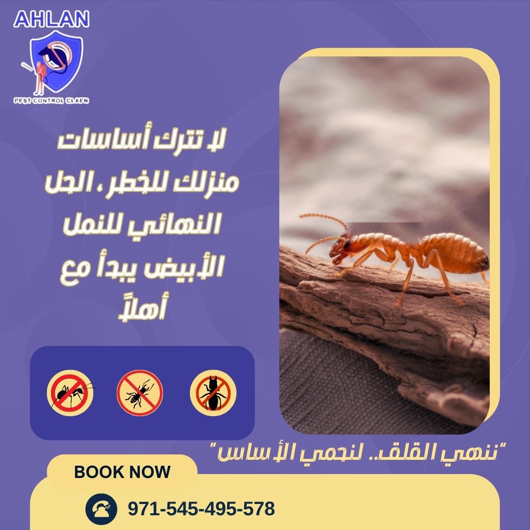 شركة مكافحة حشرات في كلباء