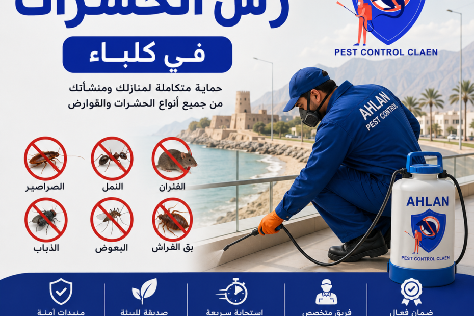 أفضل شركة لرش الحشرات في كلباء