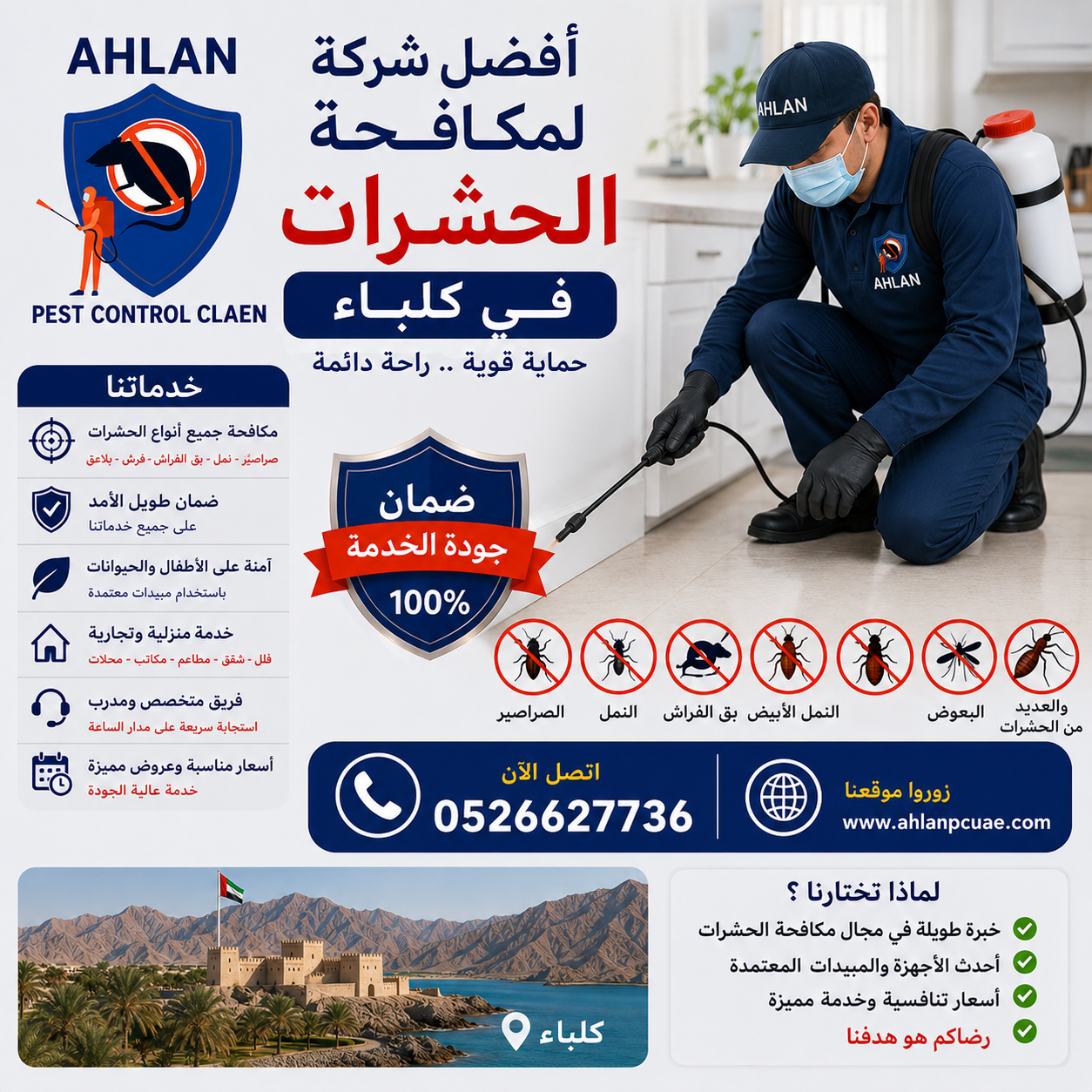 شركة لمكافحة الحشرات في كلباء