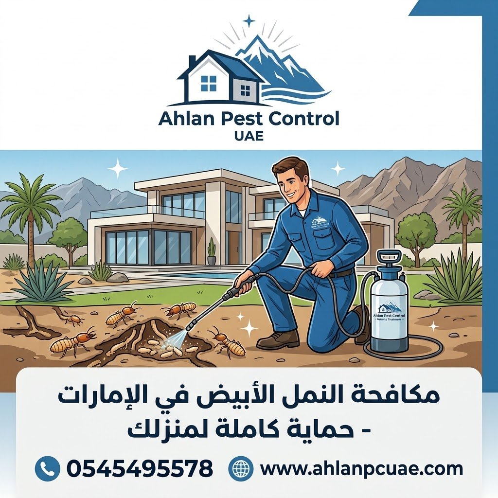 مكافحة النمل الأبيض في دبا الفجيرة